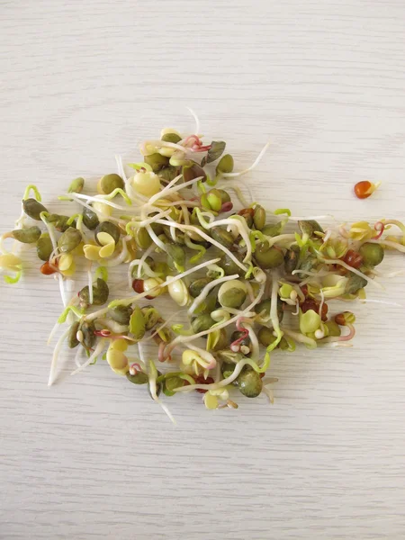 Tiros de lentilhas, rabanete, quinoa — Fotografia de Stock