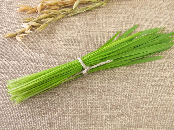 Mazzo di erba di avena verde per frullato verde — Foto Stock