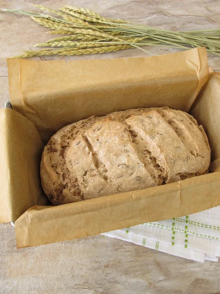 Zelená Pšenice špalda chleba v pečicí formě — Stock fotografie