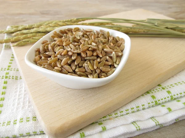 緑は、スペルト小麦し、スペルト小麦の耳 — ストック写真