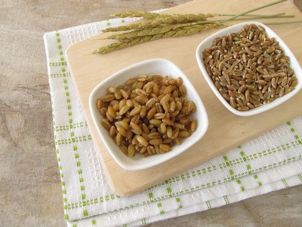 Raw and cocked green spelt and spelt ears — Stock Photo, Image