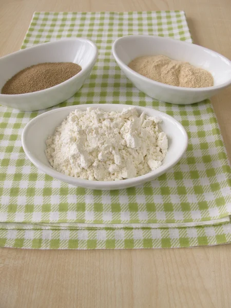 Flour, sourdough extract and bakers yeast — Stock Photo, Image