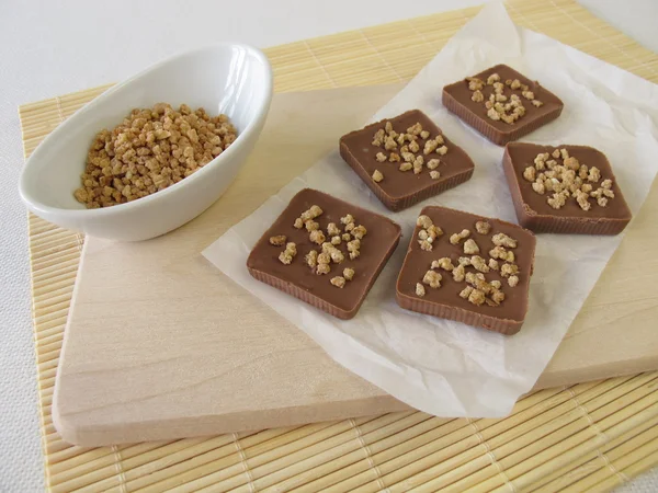 Chocolate casero con almendras frágiles —  Fotos de Stock