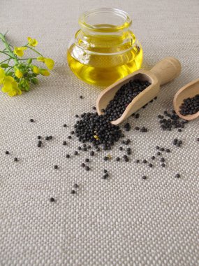 Kanola yağı ve kolza tohumu