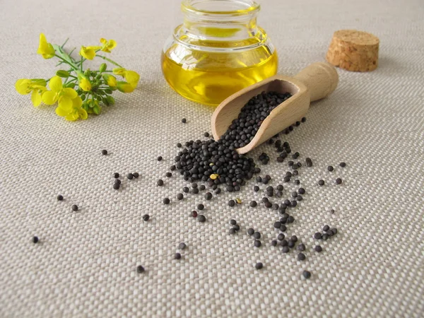 Canola oil and rapeseed — Stock Photo, Image