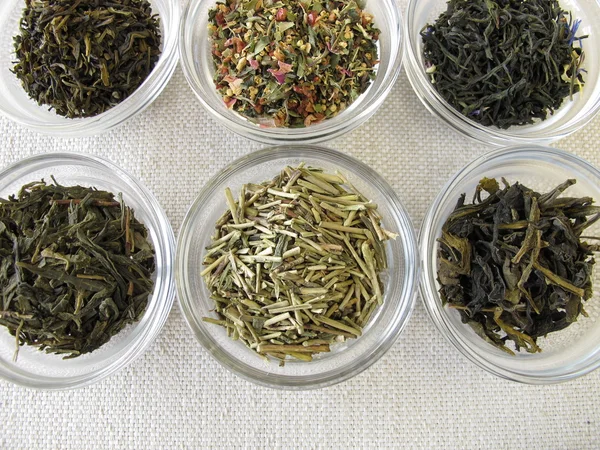 Green tea varieties — Stock Photo, Image