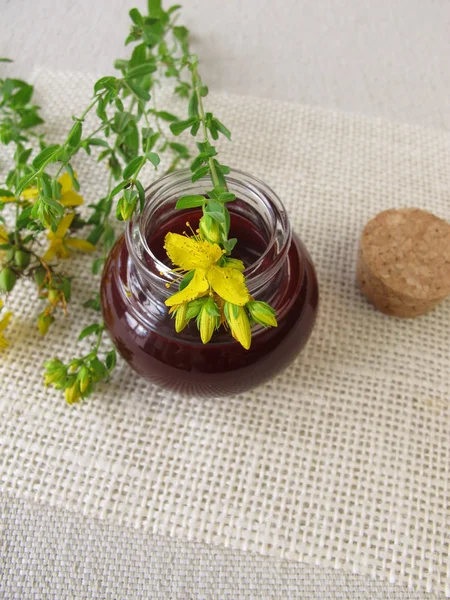 Aceite de hierba de San Juan en botella — Foto de Stock