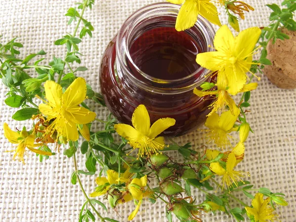 St. John's wort oil in bottle — Stock Photo, Image