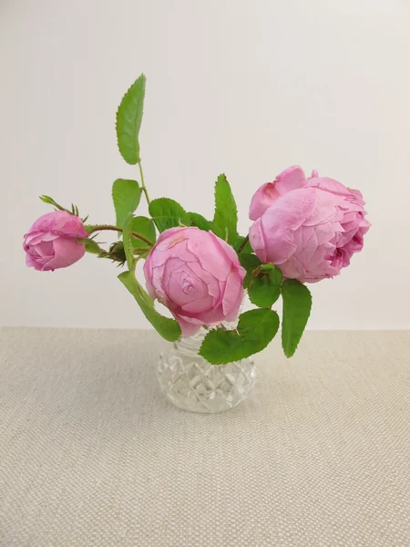 Damask roses in vase — Stock Photo, Image