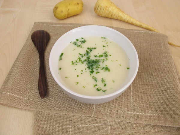 Zupa puree z ziemniakami i Pasternak — Zdjęcie stockowe