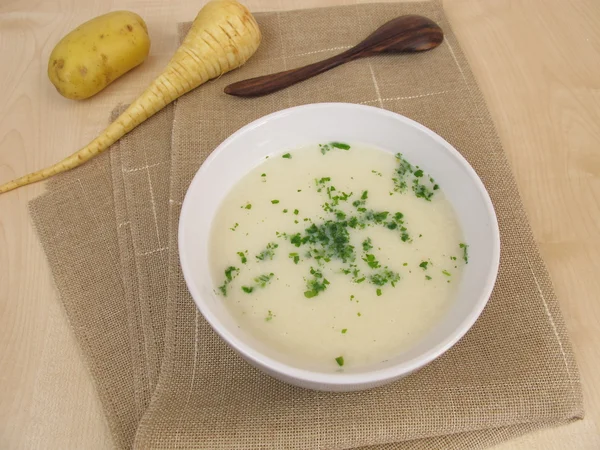 Zupa puree z ziemniakami i Pasternak — Zdjęcie stockowe