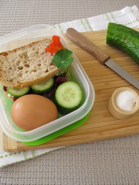 Sandwich de pepino en la lonchera para llevar — Foto de Stock