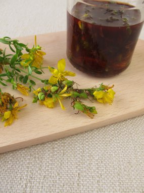 Maserasyon gelen St John's wort çiçek zeytin yağı