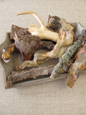 Zanaat malzeme ile ağaç kök, kabuk ve dallar