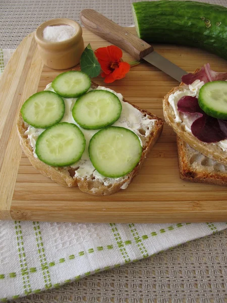 Brød med smøreost, agurk og salat – stockfoto