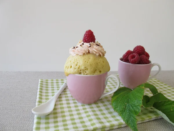 Taze Ahududu ve mikrodalga pastadan ahududu kupa