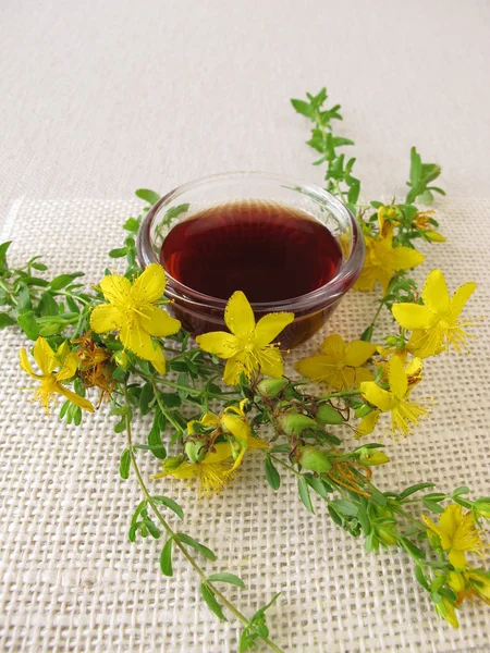 St. John's wort oil — Stock Photo, Image