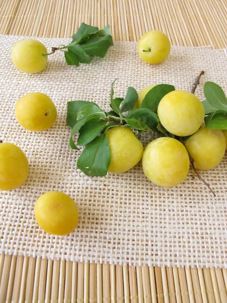 Yellow cherry plums — Stock Photo, Image
