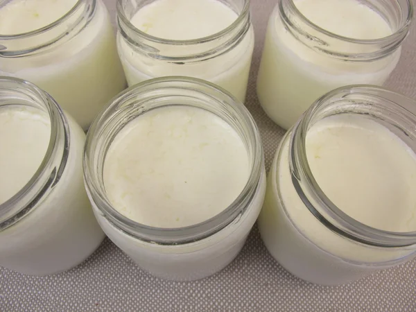 Jogurt w słoikach od producenta jogurtów — Zdjęcie stockowe