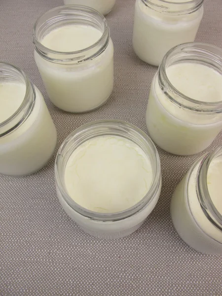 Yaourt dans des pots de fabricant de yaourt — Photo