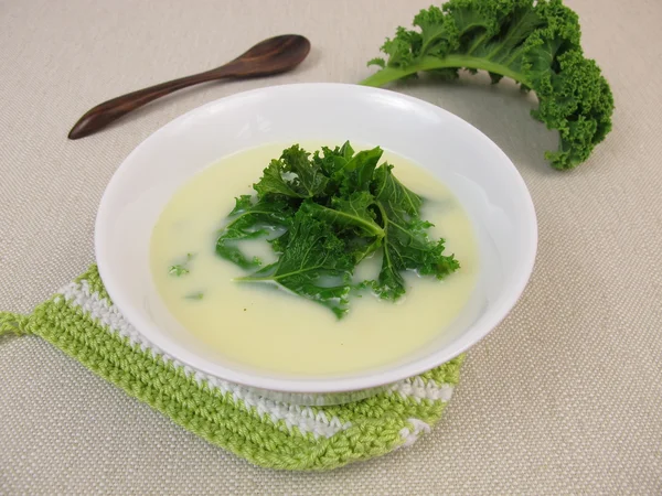 Kale in mustard cream sauce — Stock Photo, Image
