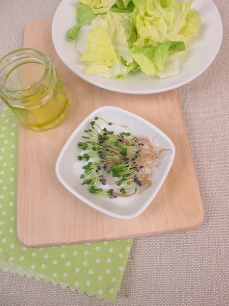 Fesleğen lahanası, salata ve zeytin yağı — Stok fotoğraf