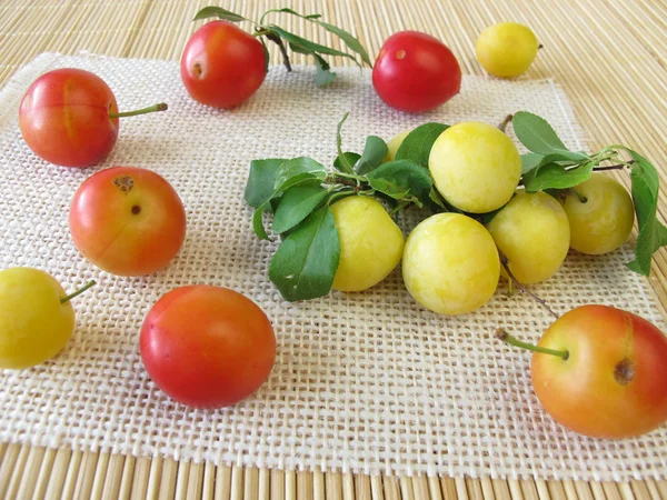 Ciruelas rojas y amarillas de cereza —  Fotos de Stock