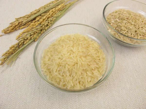 Uncooked brown and white rice — Stock Photo, Image