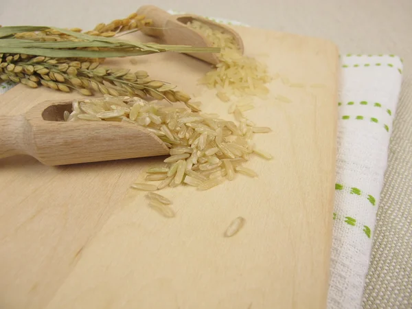 Arroz integral e branco e panículas de arroz — Fotografia de Stock