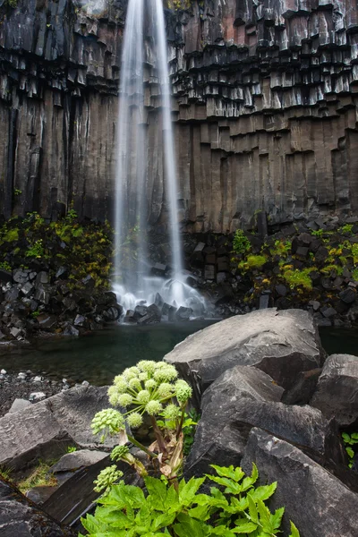 Svartifoss vattenfall i Skaftafell — Stockfoto