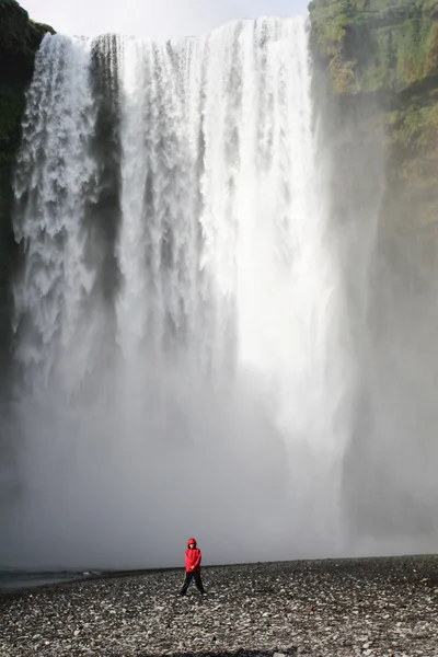 Skogafoss Wasserfall im Sommer — Stockfoto