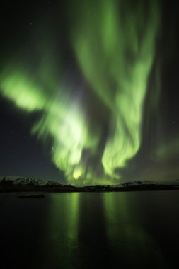 Auroras in Iceland clipart