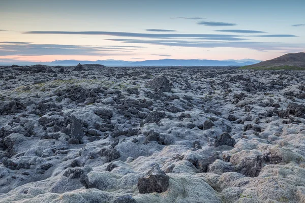 Mossgrown lava — Zdjęcie stockowe