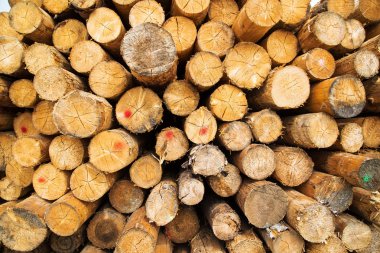 Günlük arka kapatmak