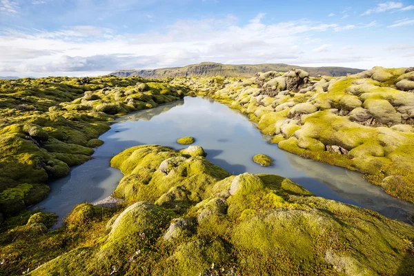 冰岛的熔岩景观 — 图库照片