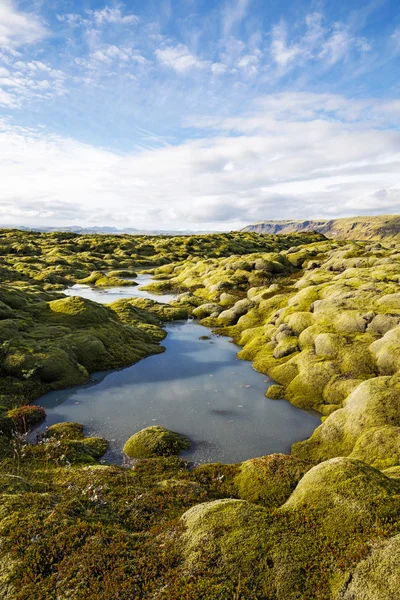 Isländska lava fält — Stockfoto