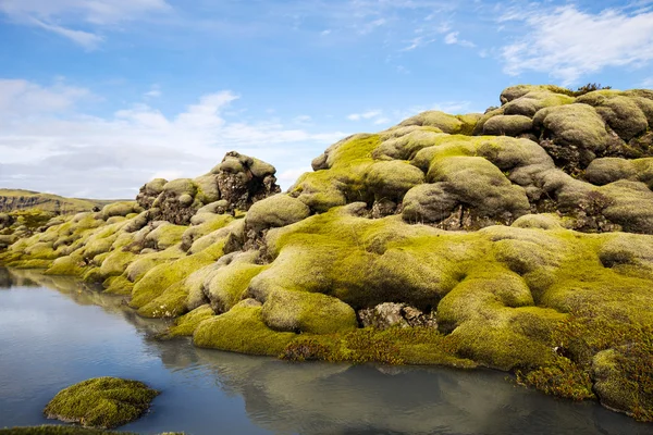 Islandská láva a voda — Stock fotografie