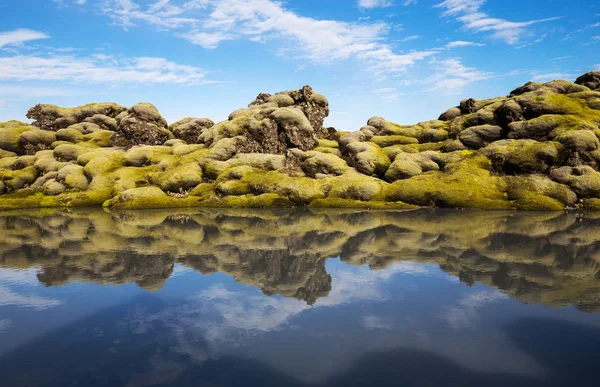 Moss gegroeid lava — Stockfoto