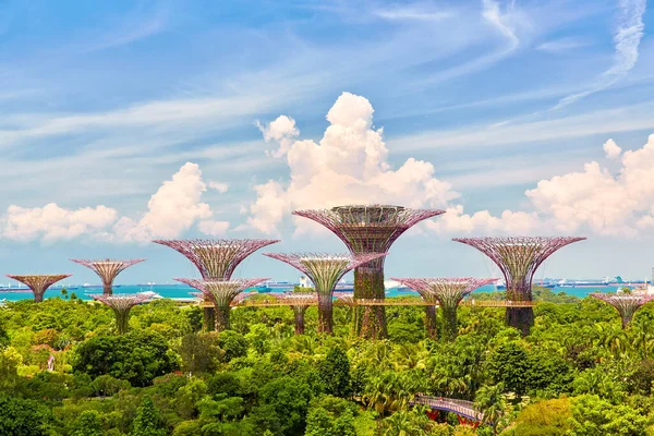 シンガポール スーパーツリー グローブ アット ガーデンズ — ストック写真