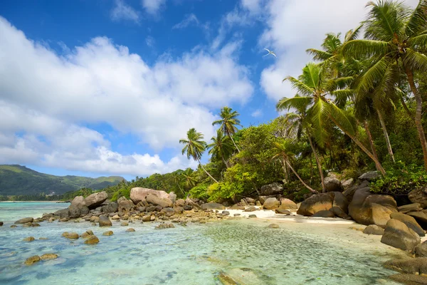 Seychelles beach — Stock Photo, Image