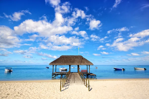 Mauricio playa — Foto de Stock