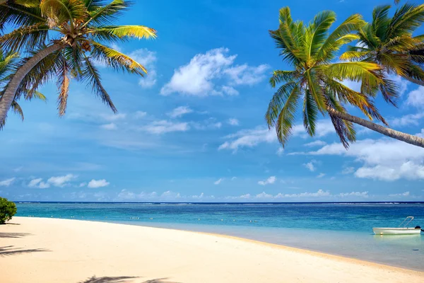 Playa de palmeras tropicales — Foto de Stock