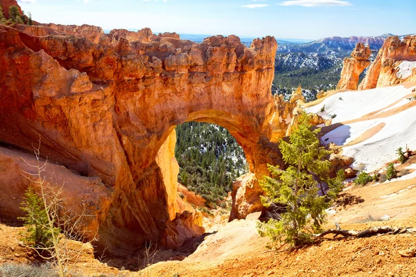 Bryce canyon krajobraz — Zdjęcie stockowe