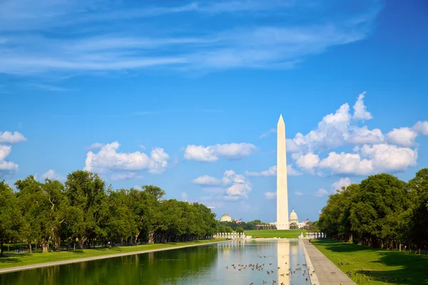 Washington DC. — Foto de Stock