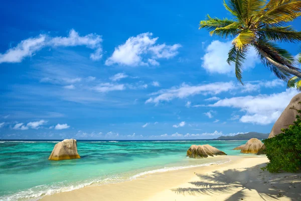Paradise Seychelles praia — Fotografia de Stock
