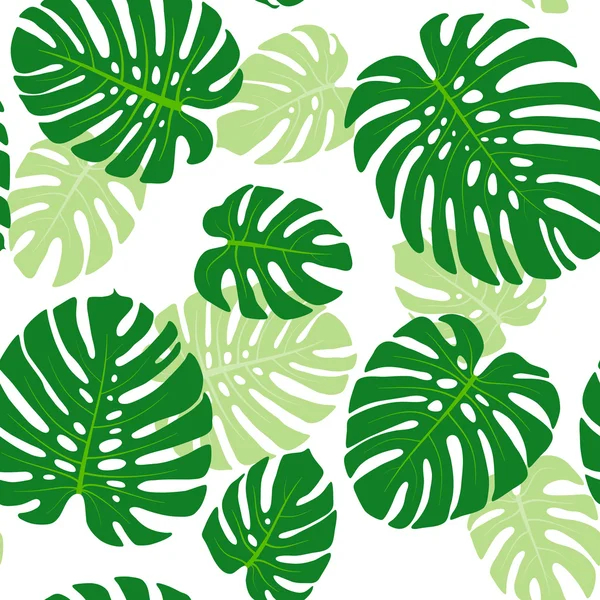 Monstera folhas fundo — Vetor de Stock