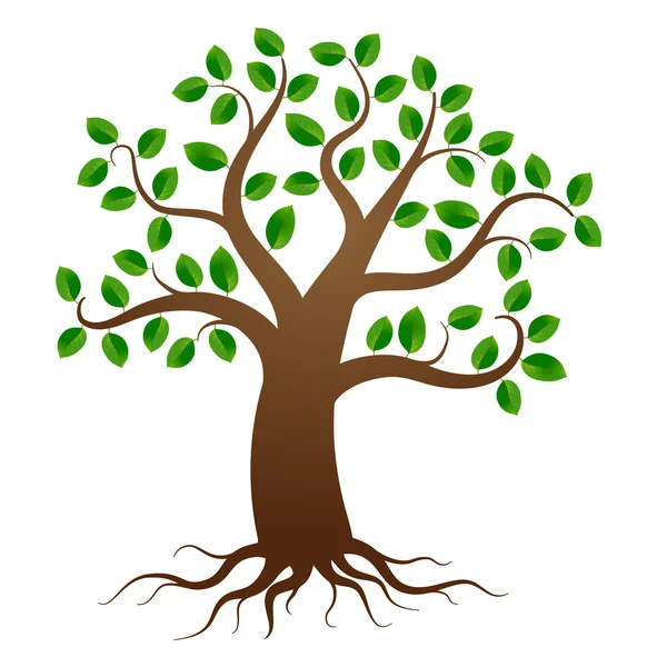 Árbol vectorial con raíces — Vector de stock