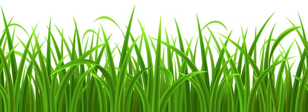 Seamless green grass — Stock Vector