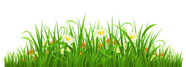 Zielona trawa z kwiatami — Wektor stockowy
