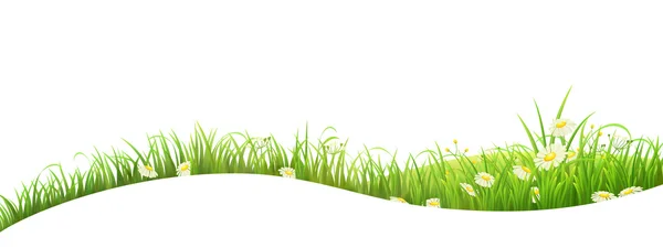 Banner mit grünem Gras — Stockvektor